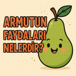 Armutun Faydaları Nelerdir?